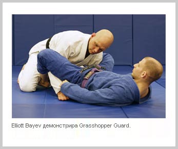 grasshopper guard бразилско жиу-житцу