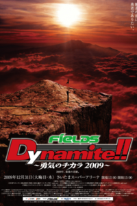 fields dynamite mma k-1 кикбокс