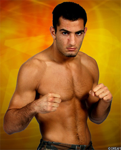 gegard mousasi mma k1 свободни двубои смесени бойни изкуства кик бокс