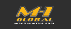 m-1 selection mma