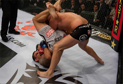 fabricio werdum fedor emelianenko