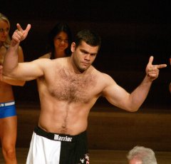 gabriel gonzaga ufc mma