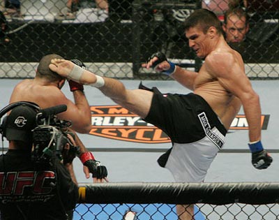 goran reljic ufc mma