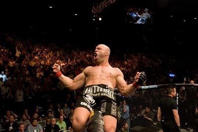 wanderlei sivla ufc mma