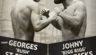 UFC 167: St. Pierre vs Hendricks