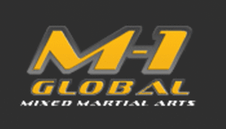 Реферски семинар пo MMA в България през декември 