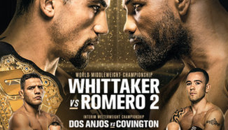 UFC 225: Приказките свършиха