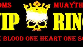 Oбзорен видео клип от тренировъчения спаринг ден по муай тай във "Vip Ring"
