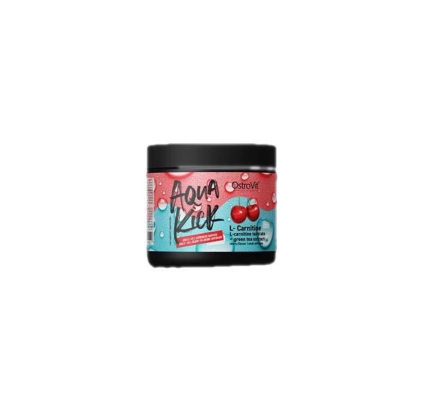 OstroVit - Aqua Kick / Advanced Hydration with L-Carnitine & Green Tea / 300 грама, 30 дози