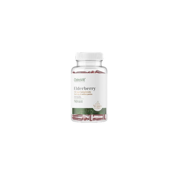 OstroVit - Elderberry Extract 330 mg | Vege / 90 капсули, 90 дози