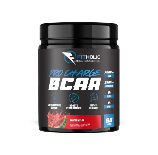 Fitholic Professional Pro Charge BCAA 1440 гр / 90 дози